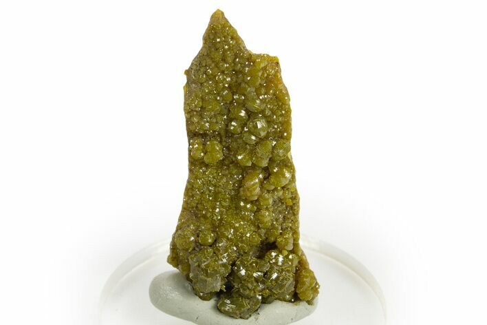 Lustrous Forest-Green Pyromorphite Crystal Cluster - China #330120